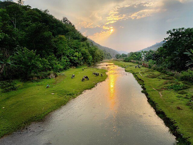 해외 여행 중 한국 음식 생각날 때 참는 법 꼭 알아야 할 현실적인 방법