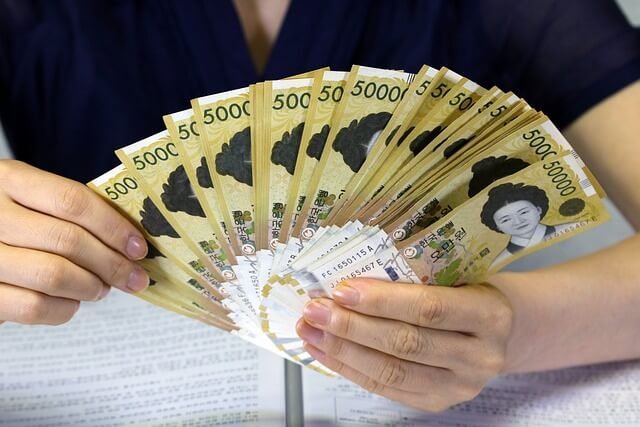 [전북 전주시] 전주시 거주 임산부 대상 산전 검사비 및 출산 전 준비금 10만 원 현금 지급 총정리